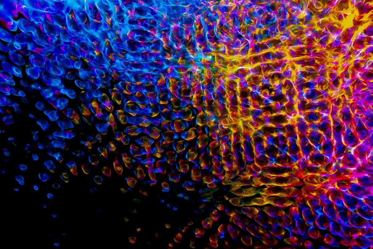 tải game F8bet PC